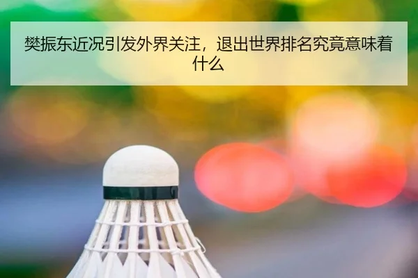 樊振东近况引发外界关注，退出世界排名究竟意味着什么